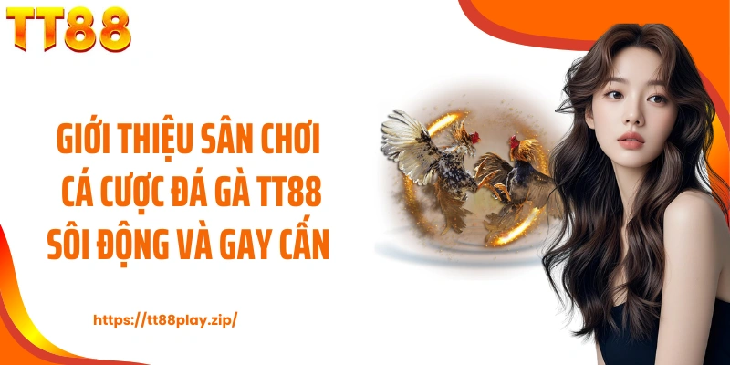 Giới thiệu sân chơi cá cược đá gà TT88 sôi động và gay cấn