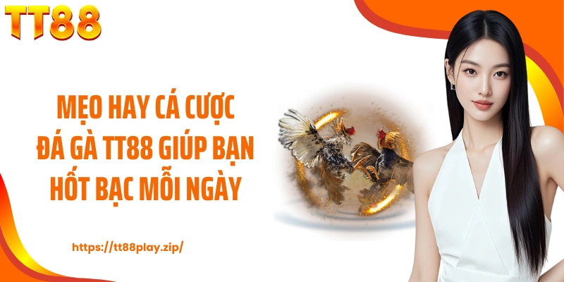 Mẹo hay cá cược đá gà TT88 giúp bạn hốt bạc mỗi ngày